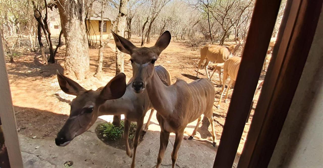 Kruger Private Lodge Marloth Park Exterior foto