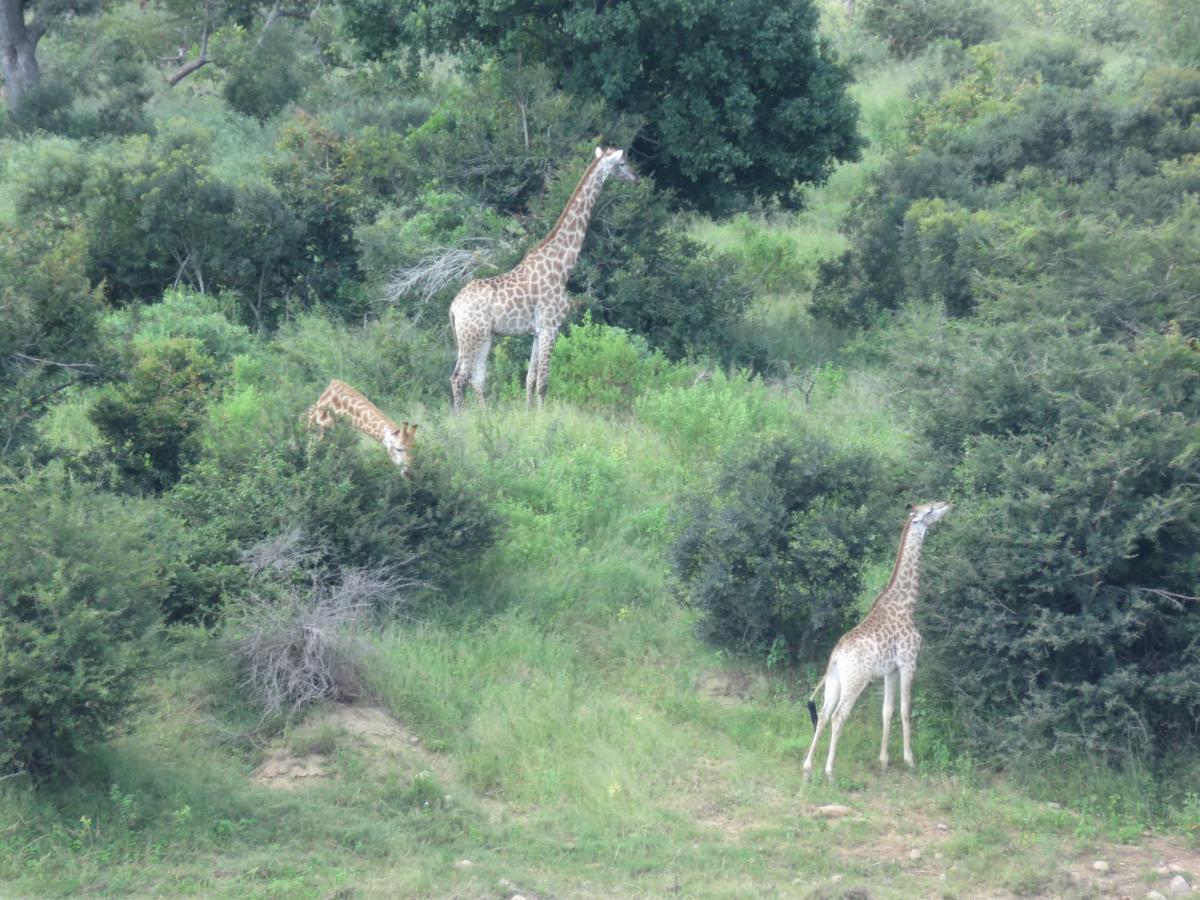 Kruger Private Lodge Marloth Park Exterior foto