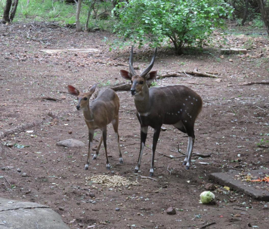 Kruger Private Lodge Marloth Park Exterior foto