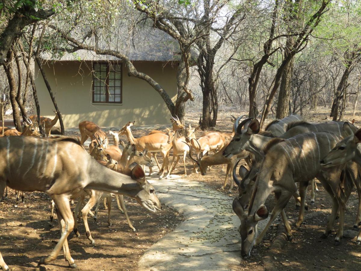 Kruger Private Lodge Marloth Park Exterior foto