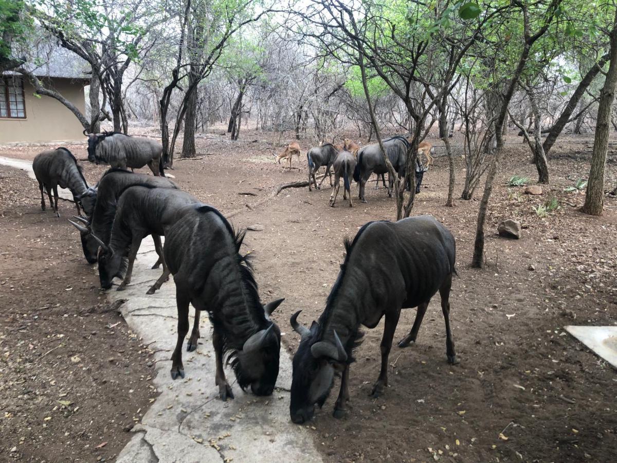 Kruger Private Lodge Marloth Park Exterior foto