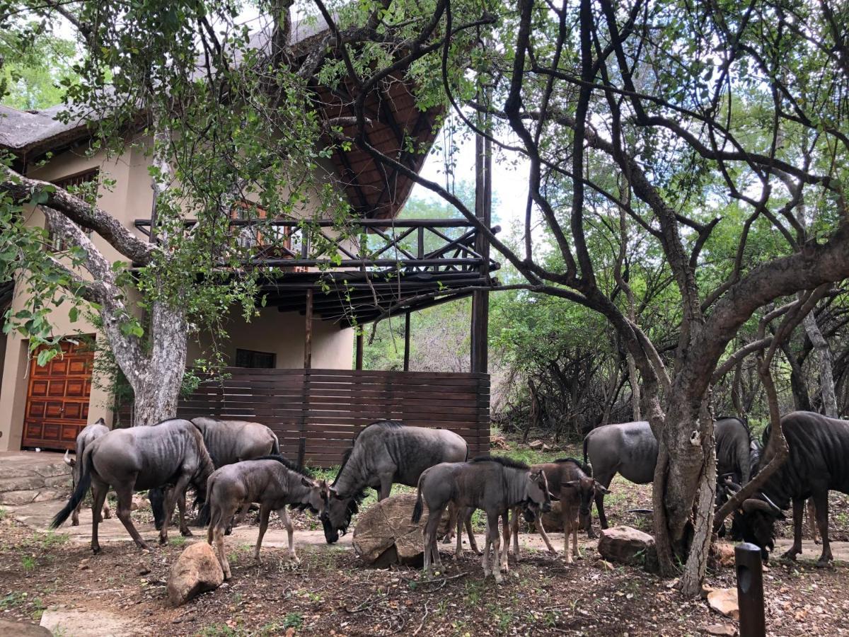 Kruger Private Lodge Marloth Park Exterior foto