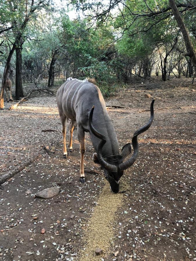 Kruger Private Lodge Marloth Park Exterior foto